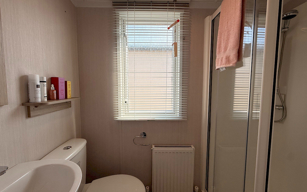 Swift Royan Special 1100/3