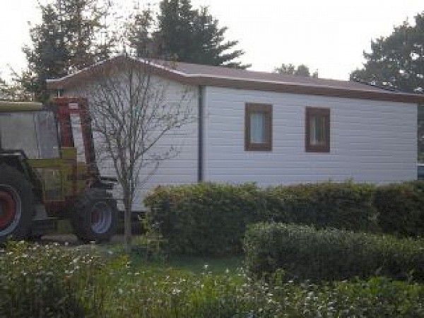 Herr Roman Swiderski-3