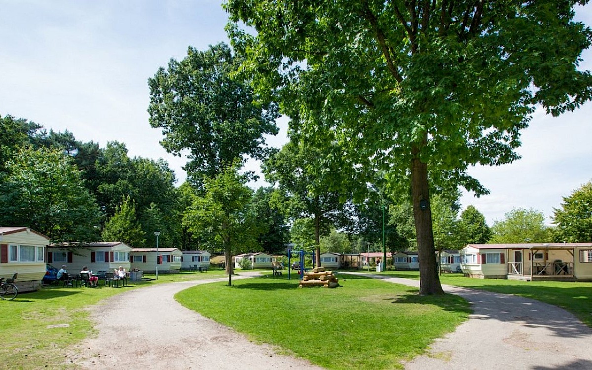 Camping De Heldense bossen