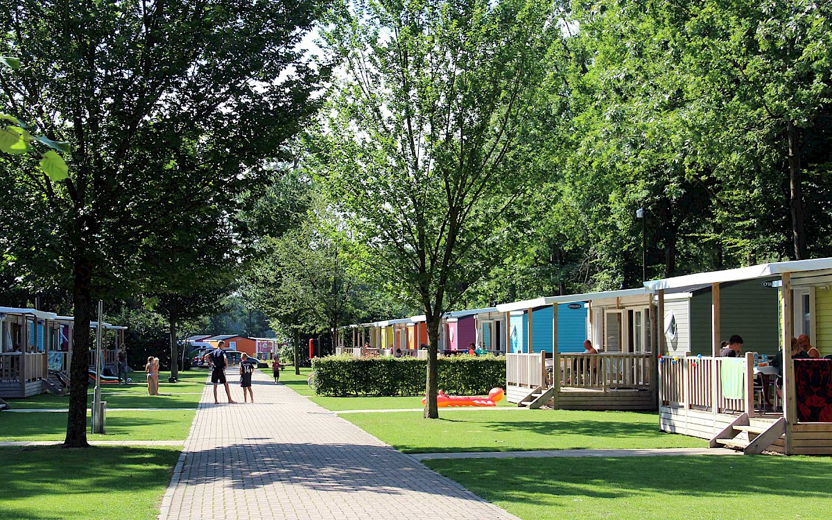 Molecaten Bosbad Hoeven