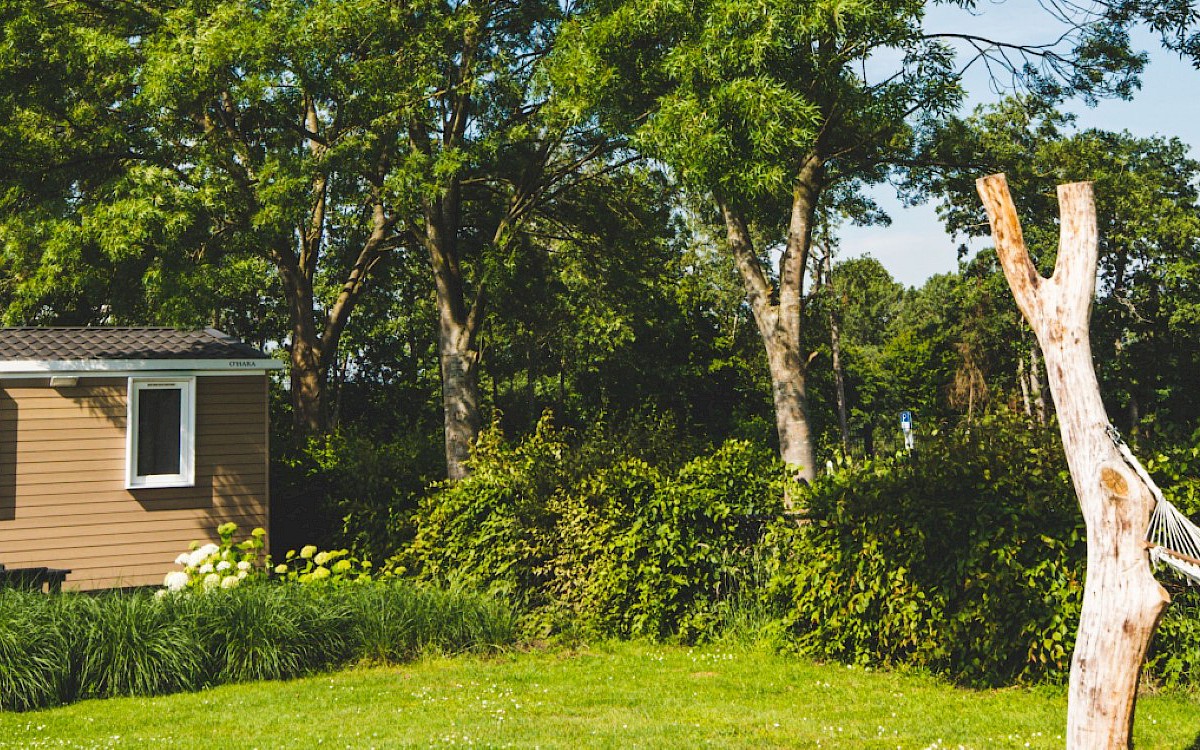 Recreatiepark Ponderosa