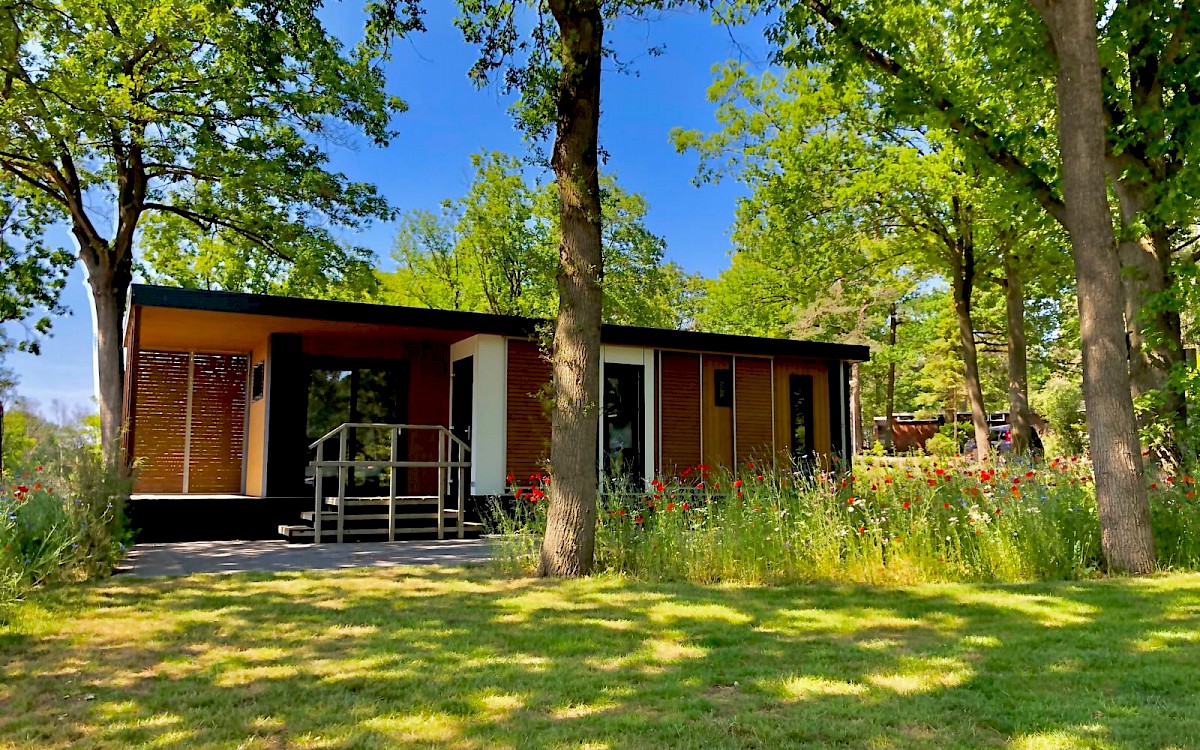 Landgoed Kattenbergse Hoeve