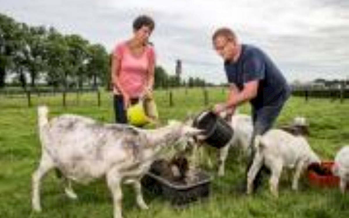 Camping Oud Meijenhorst