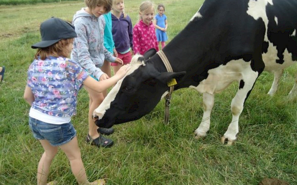 Minicamping Dorpszicht