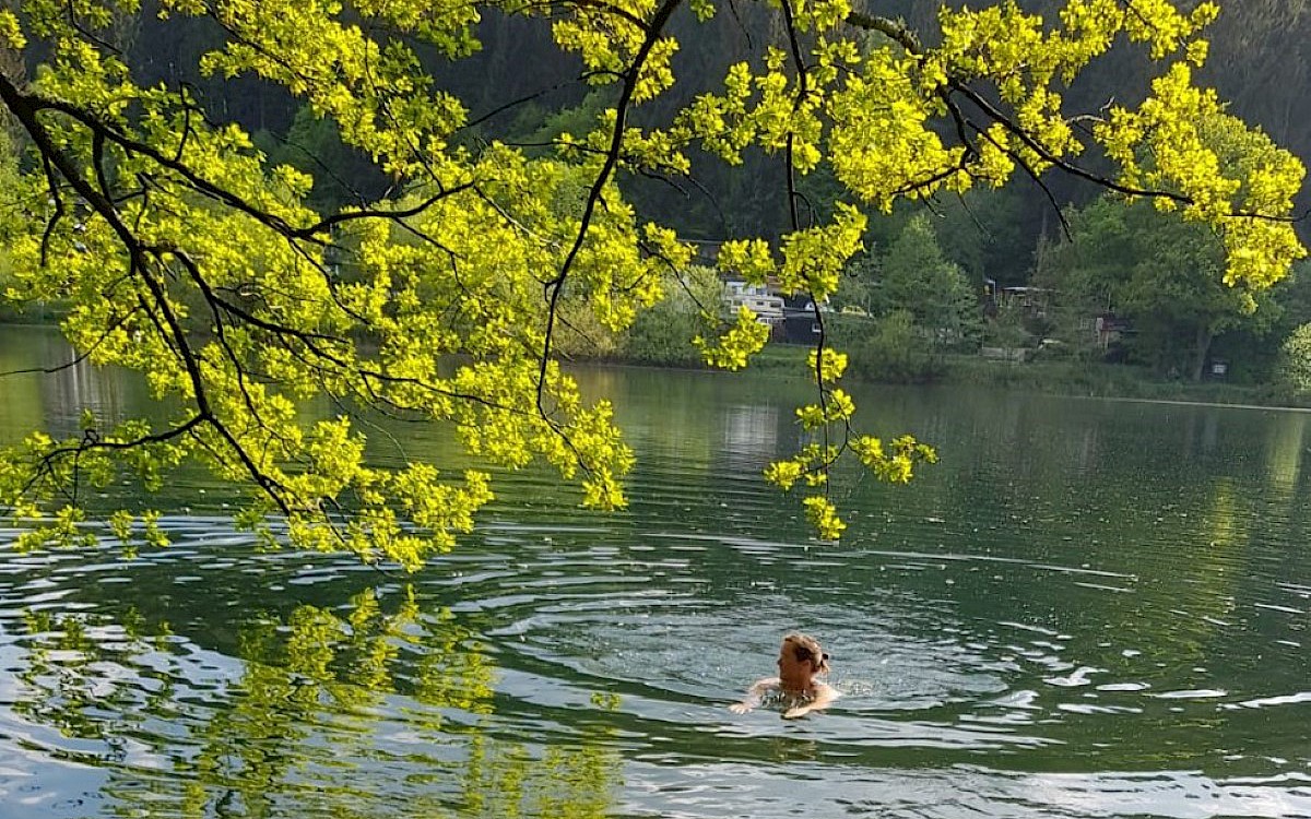 Camping und Caravanpark Lambacher Höhe