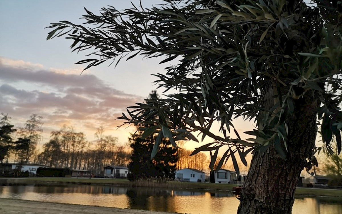 Camping Papillon Kinrooi