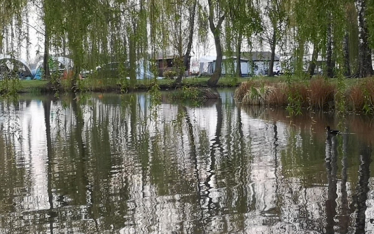 Camping Papillon Kinrooi