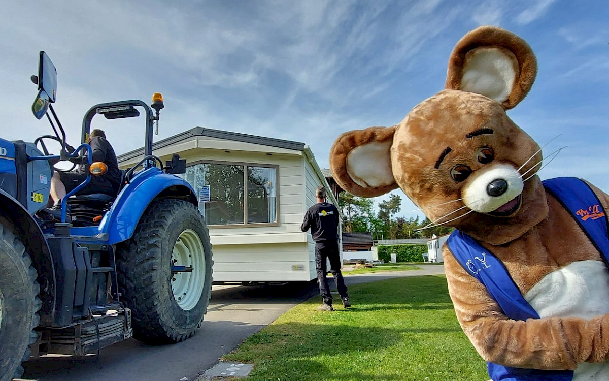 Camping Wilhelm Tell