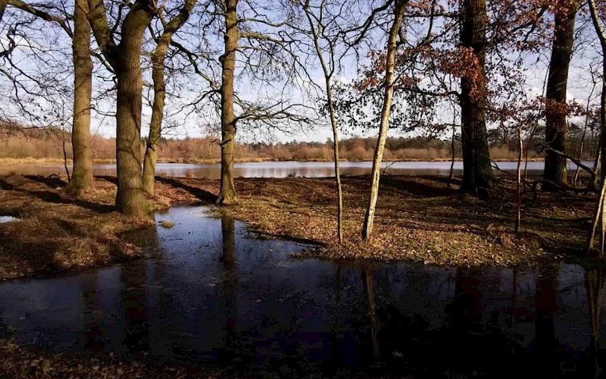 Vakantiepark Bergsehaak