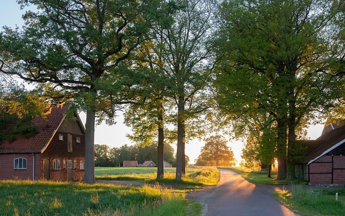 Vakantiepark Bergsehaak