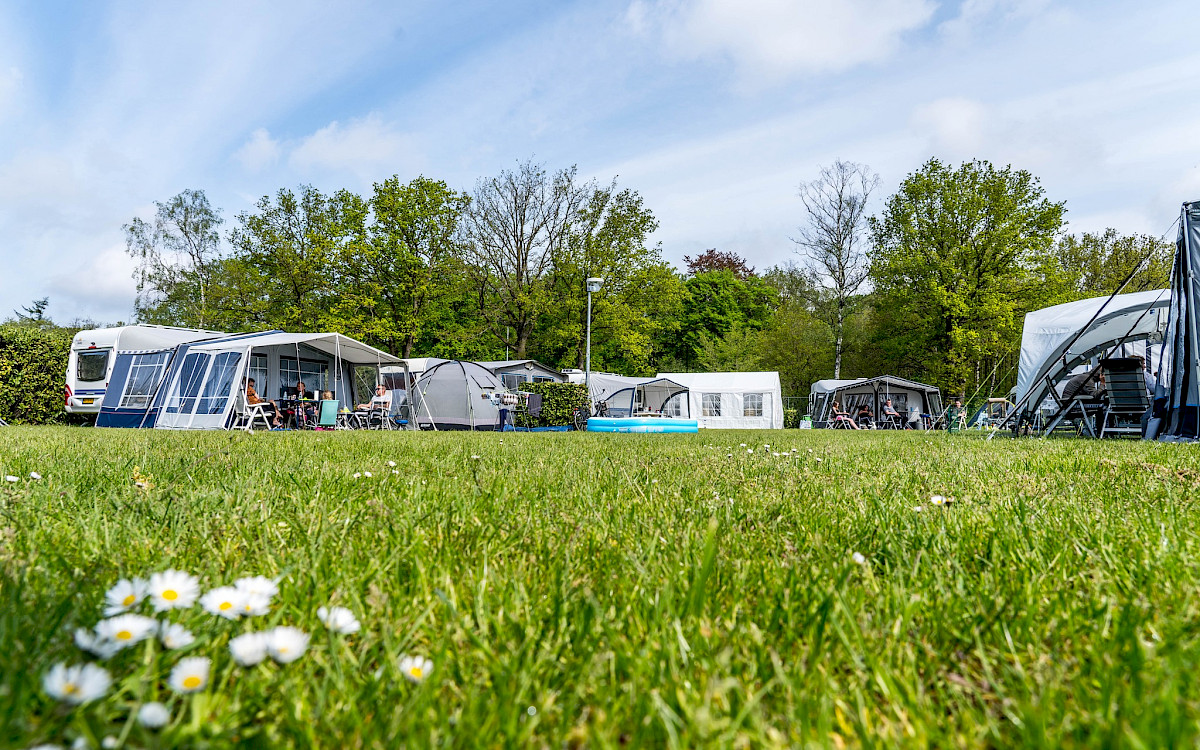 't Haasje Recreatiepark