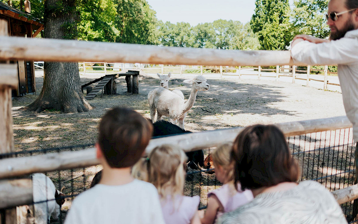 Recreatiepark Het Eperwoud